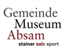Gemeinde Museum Absam : stainer salz sport